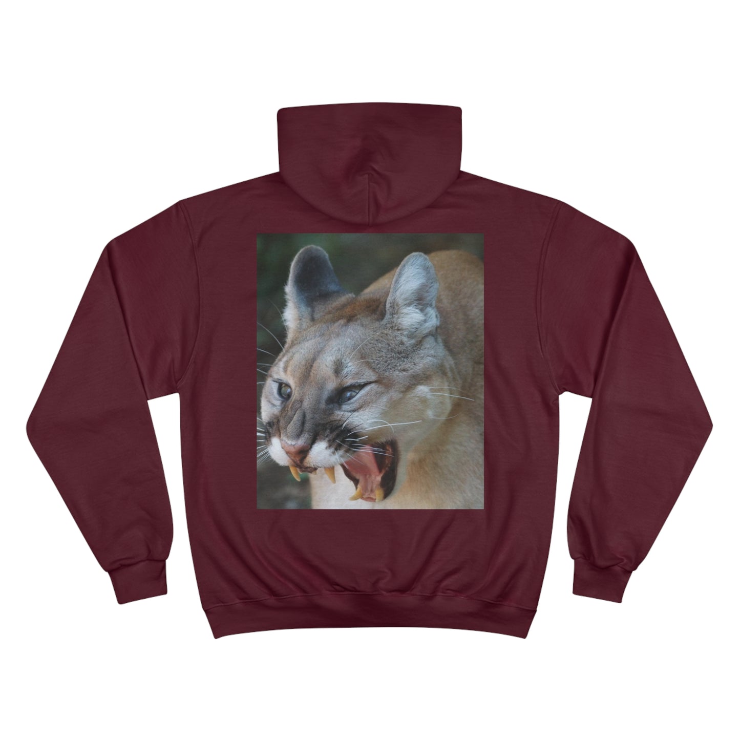 Champion Hoodie (9211149353279)