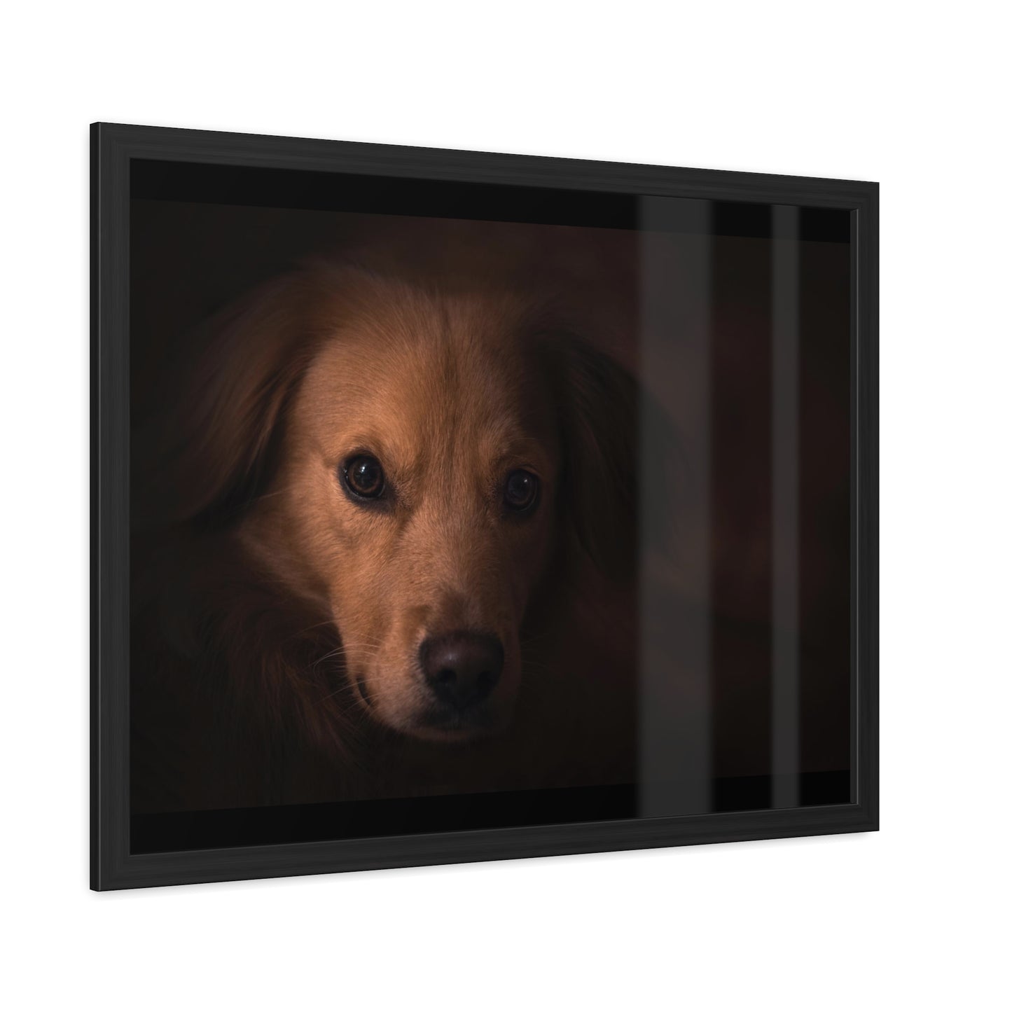 One eye dog    Framed Poster, Horizontal (8543794299199)
