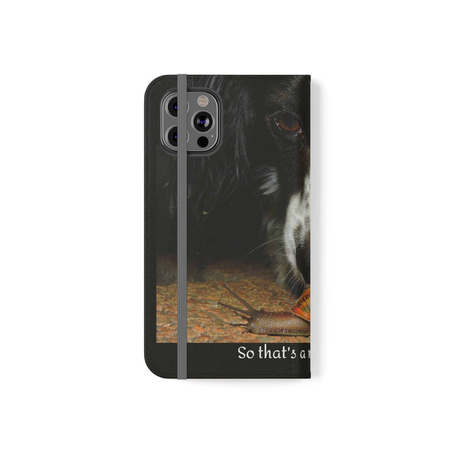 So that's a mobile home   Flip Cases (8541952311615)