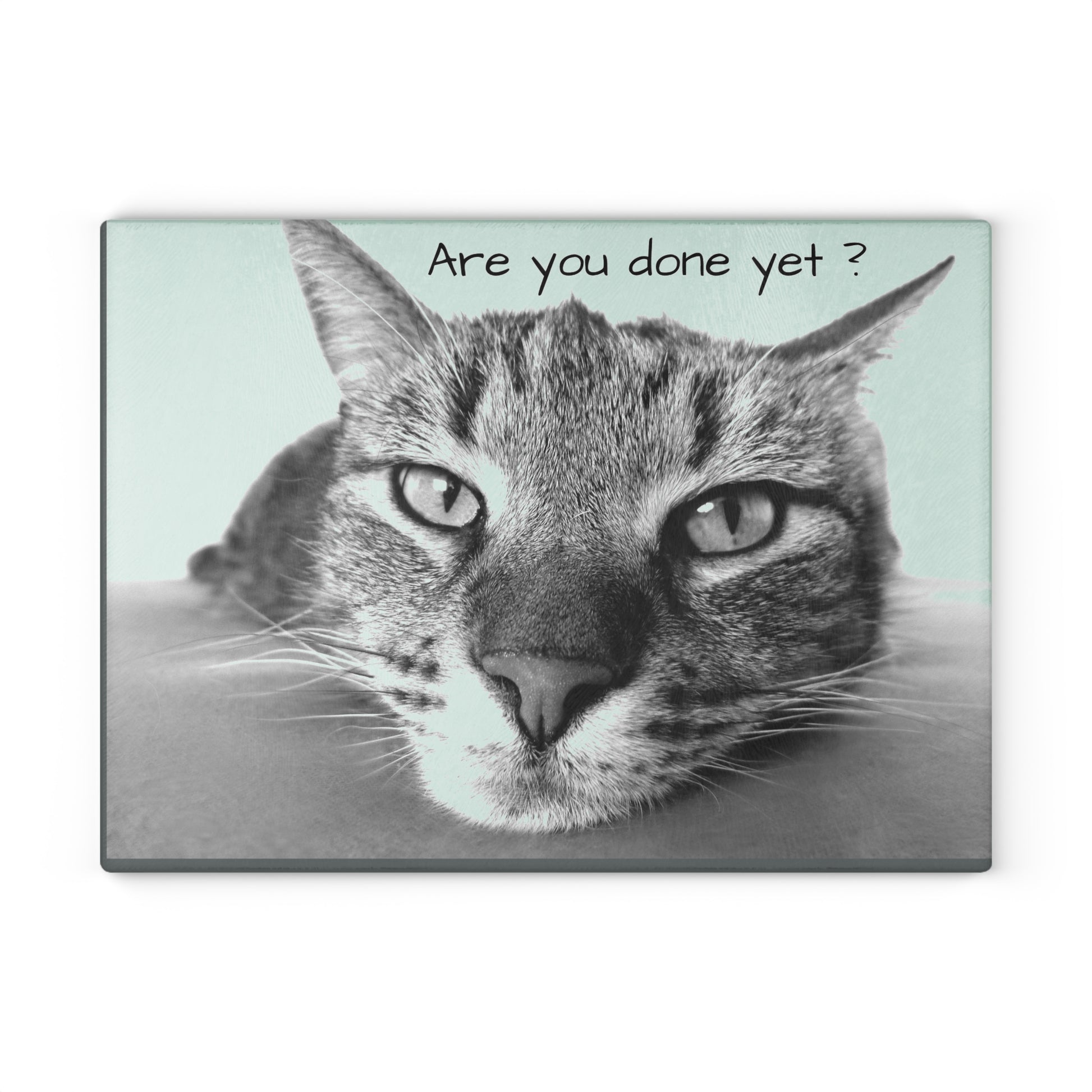 Glass Cutting Board (8927784337727)