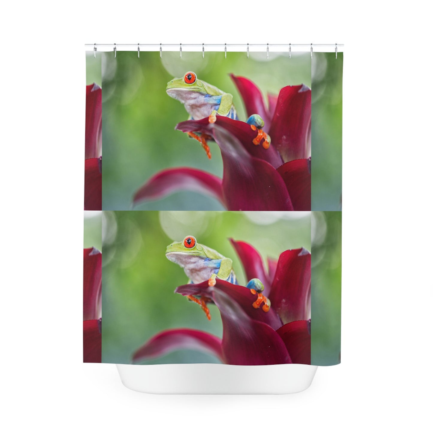 rain forest frog (8193262125375)