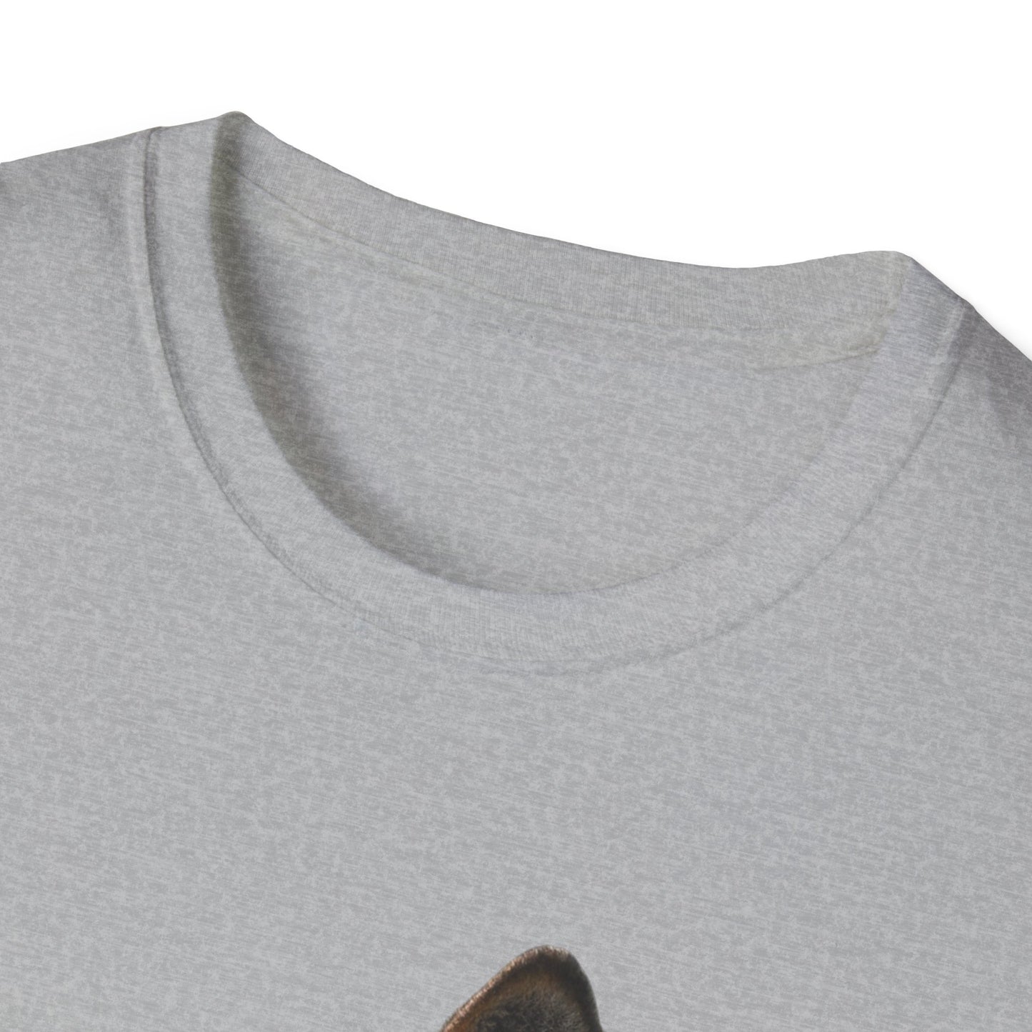 Unisex Softstyle T-Shirt (9186748629311)