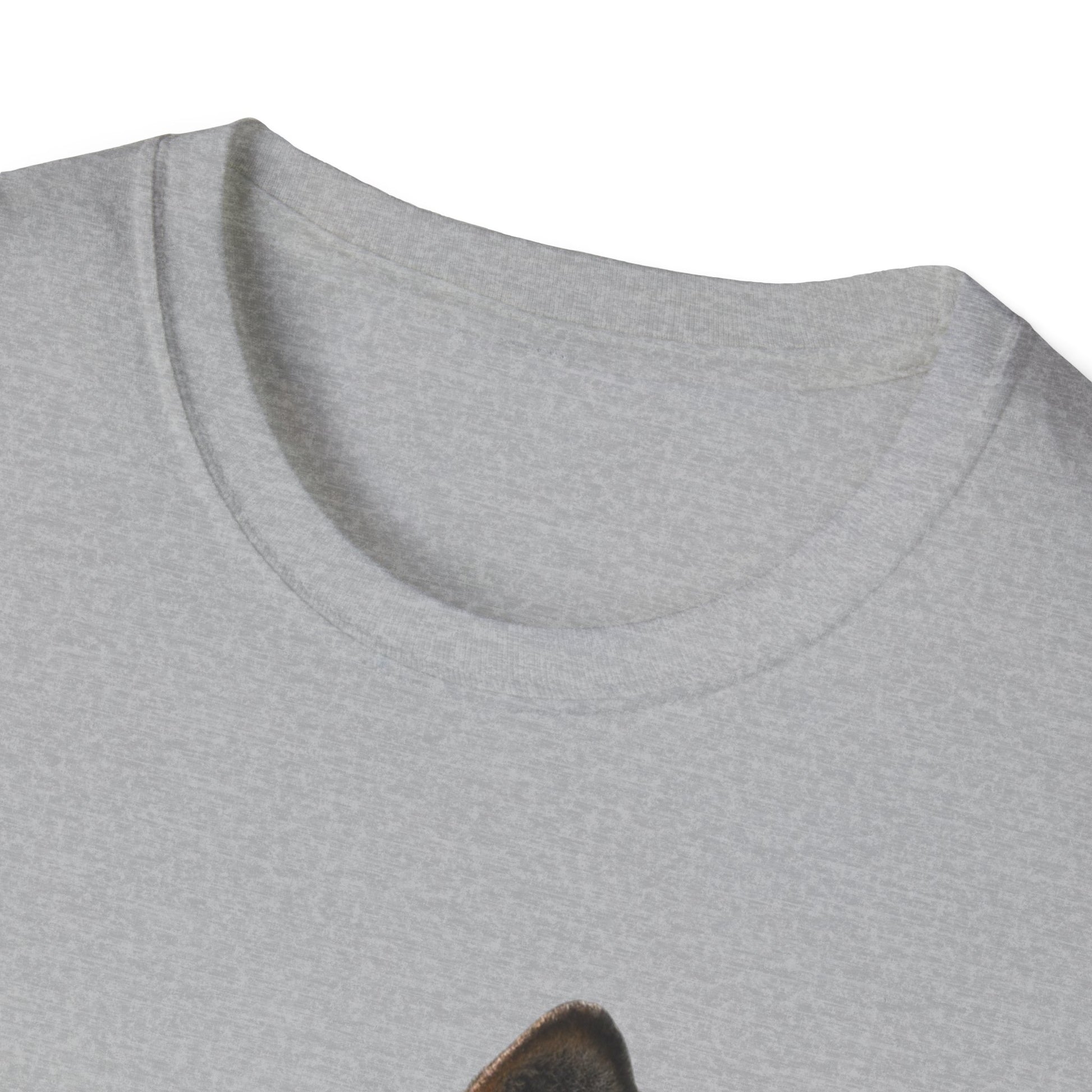 Unisex Softstyle T-Shirt (9186748629311)