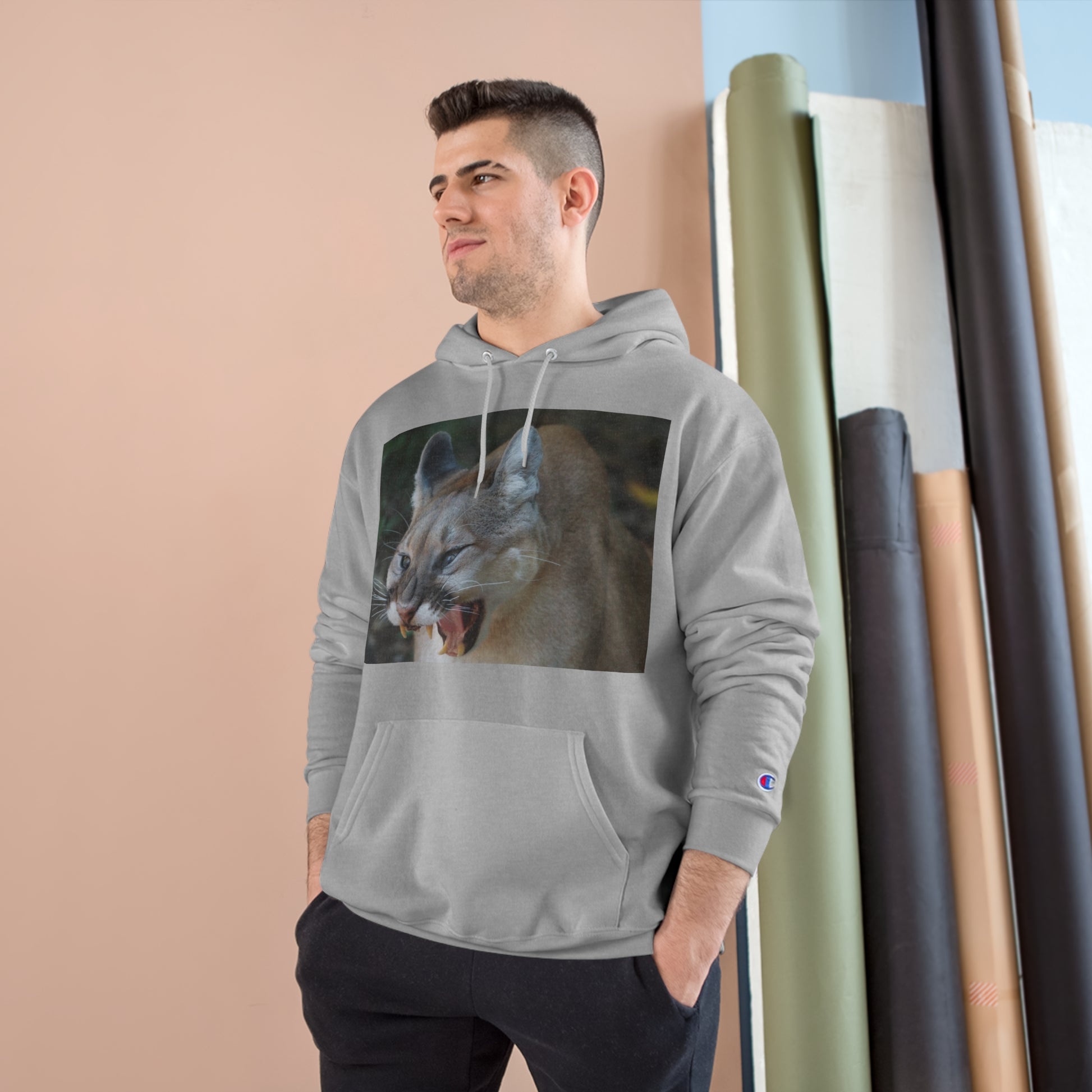 Champion Hoodie (9211149353279)