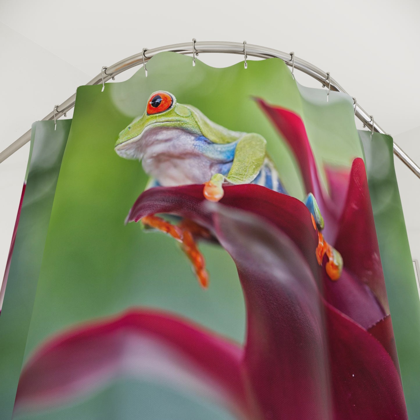 rain forest frog (8193262125375)