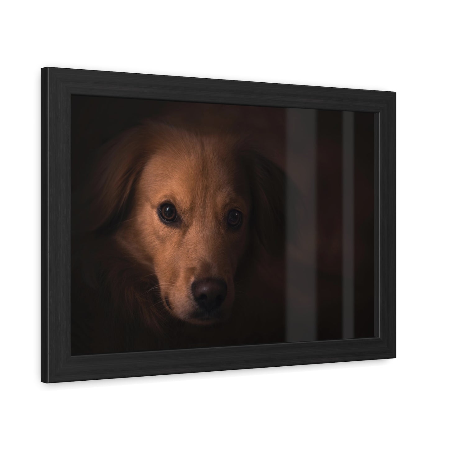 One eye dog    Framed Poster, Horizontal (8543794299199)