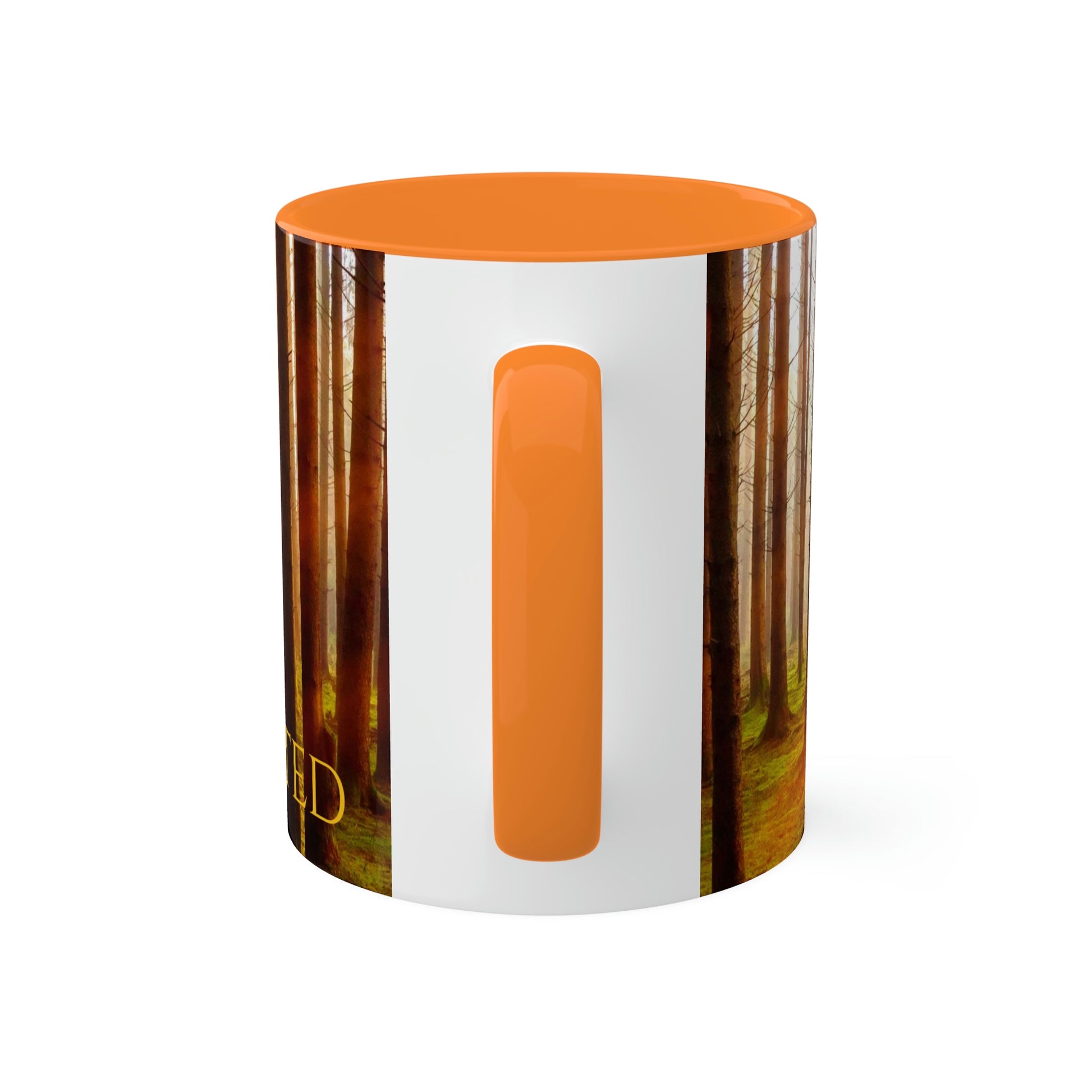 The Hunted--- elk and Couger   Colorful Mugs, 11oz (8215725670719)
